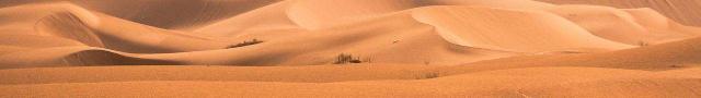 Kopfzeilen-Bild Wüste Sahara